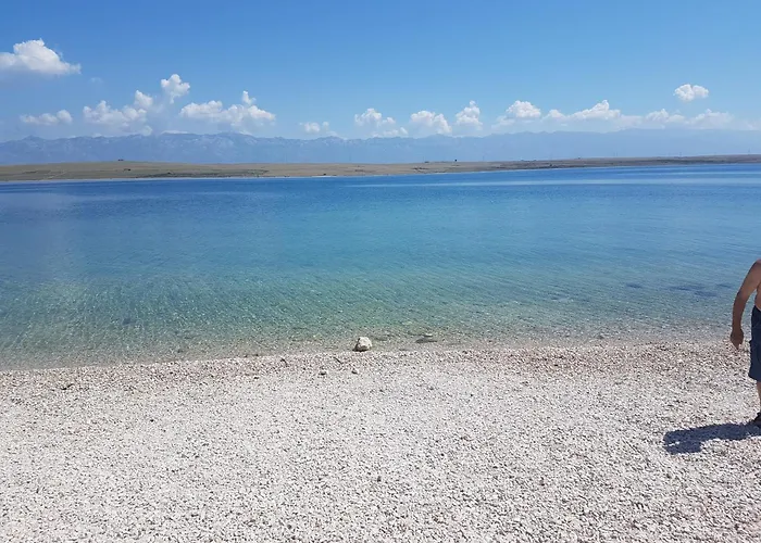 Adria 维尔
